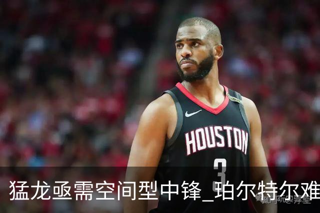 猛龙亟需空间型中锋 珀尔特尔难担重任